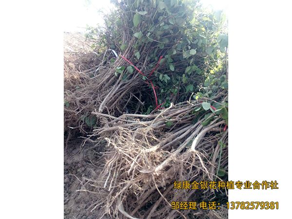 2018年新品 2018年新品