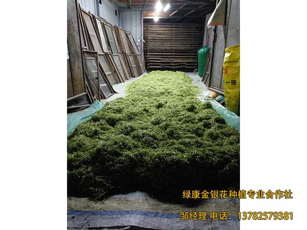 2018年新品 2018年新品