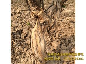 2016年11月份發貨